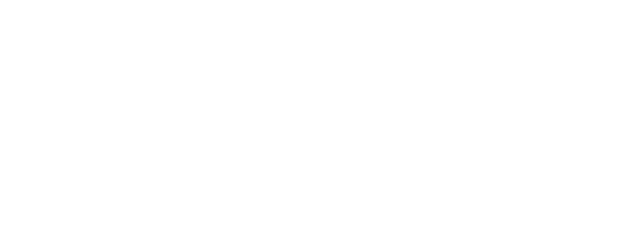 Logotipo DTI